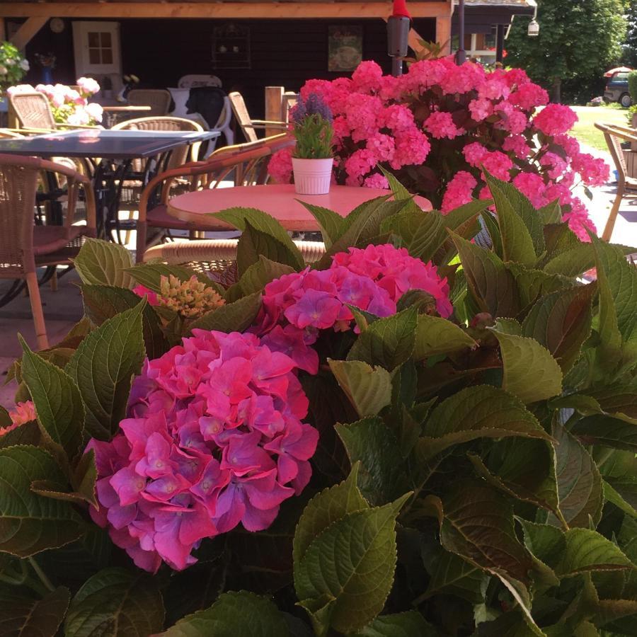 Boerderijcamping Plantlust Veere Bagian luar foto