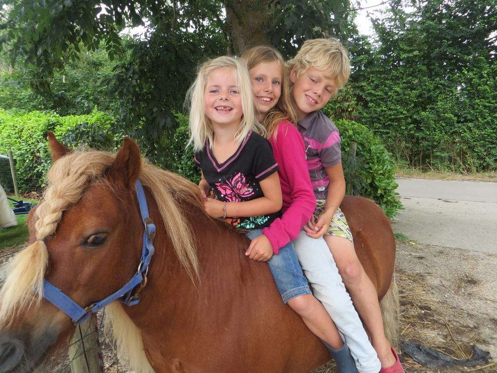 Boerderijcamping Plantlust Veere Ruang foto