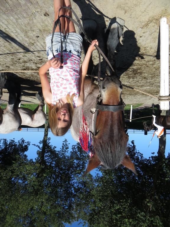Boerderijcamping Plantlust Veere Bagian luar foto