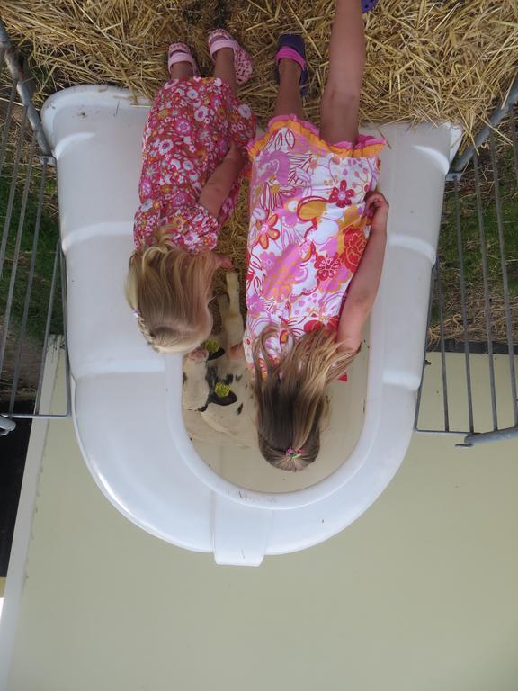 Boerderijcamping Plantlust Veere Bagian luar foto